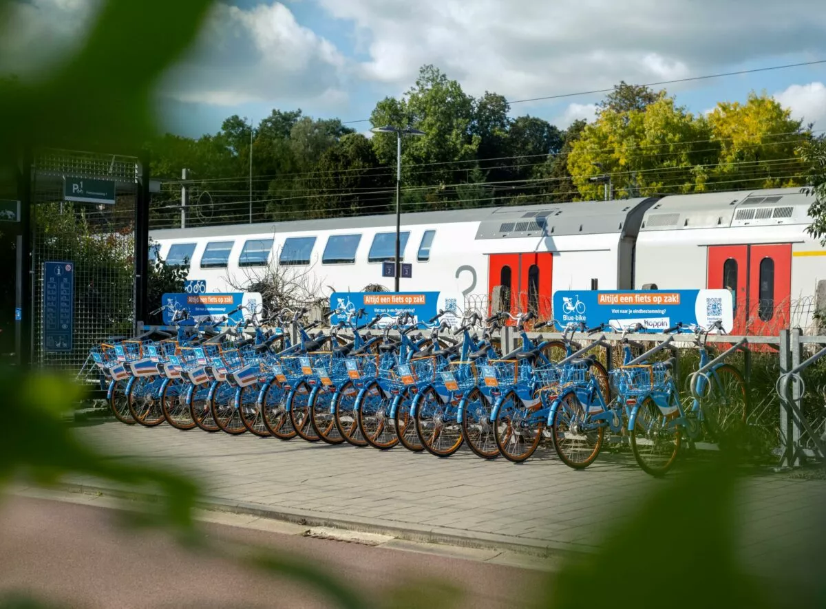 Pricing Blue Bike