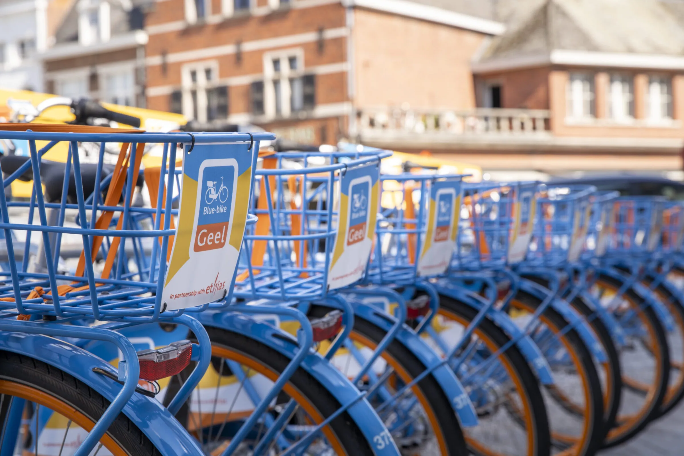 Blue-bike Back-to-many Geel
